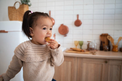 1-Year-Old Feeding Schedule