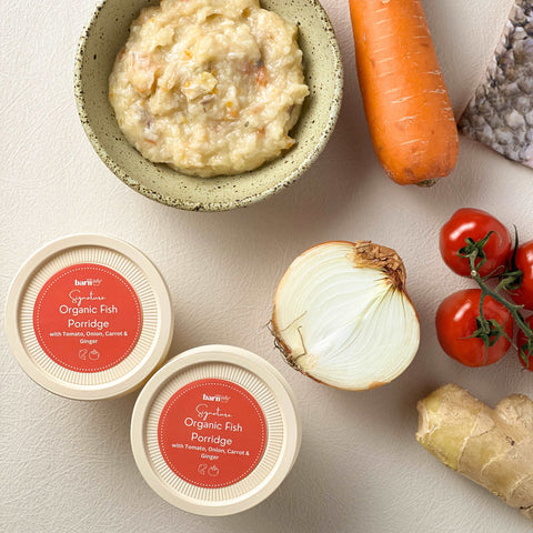 Signature Organic Fish Porridge with Tomato, Onion, Carrot & Ginger