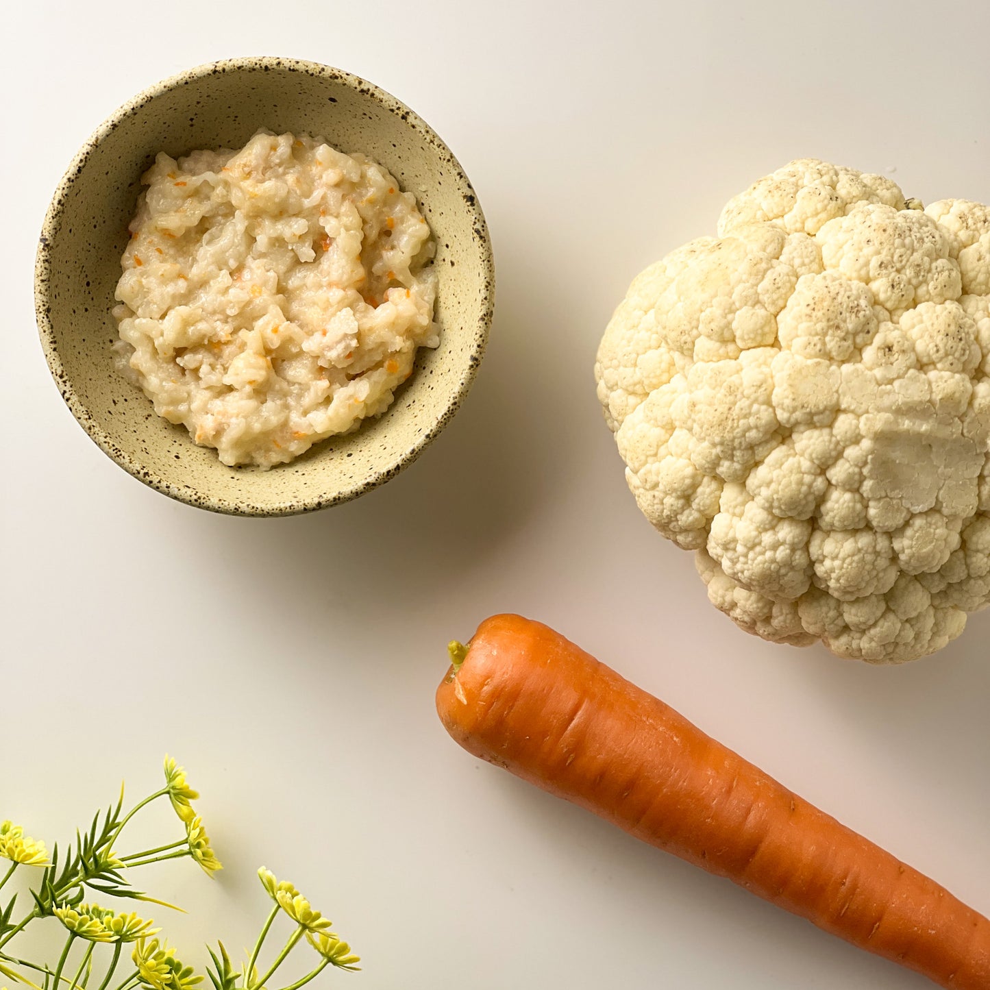 Organic Chicken Porridge with Cauliflower & Carrot