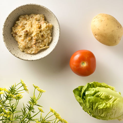 Organic Trout Porridge with Potato, Tomato & Lettuce