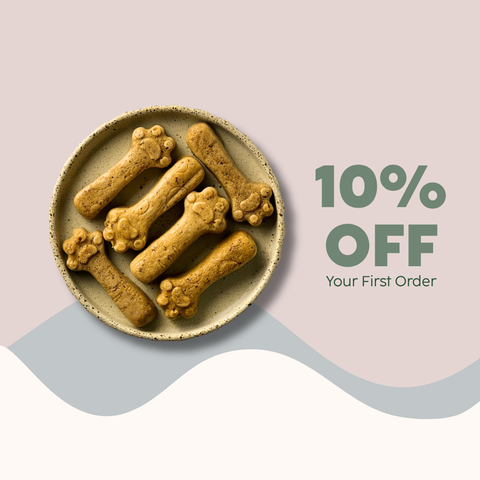 10% OFF Your First Order