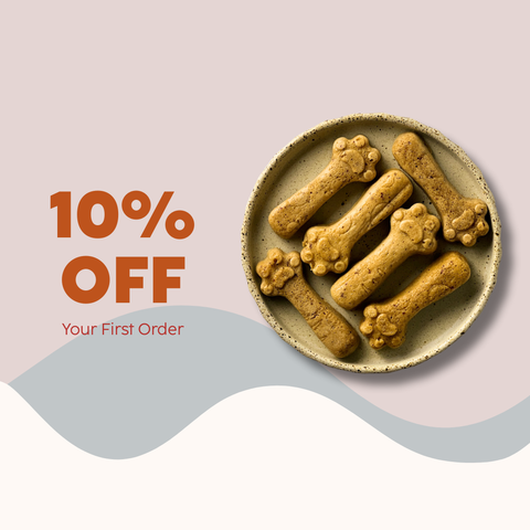10% OFF Your First Order