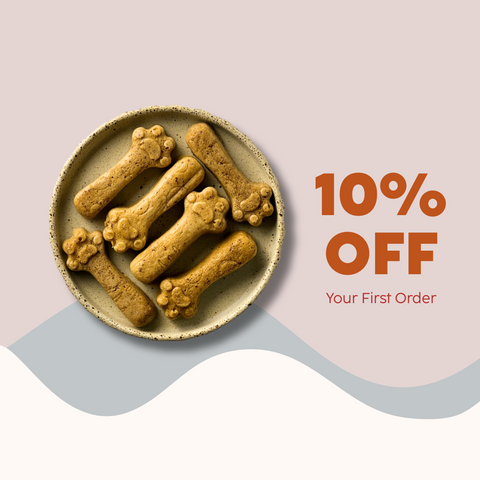 10% OFF Your First Order
