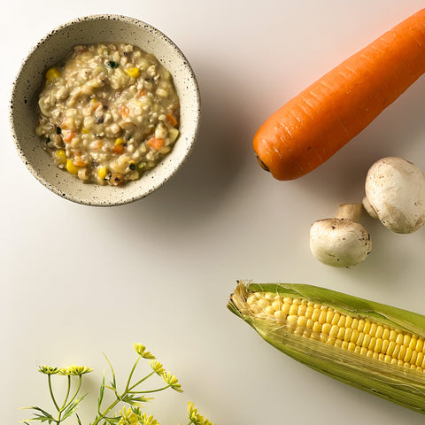 Organic Creamy Chicken Mushroom Soup with ABC Pasta