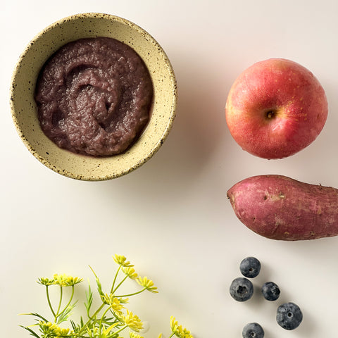 Organic Apple, Blueberry, Sweet Potato and Chia Seeds Puree