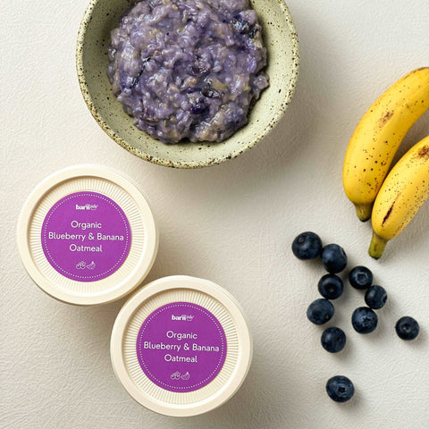 Organic Blueberry & Banana Oatmeal - Puree
