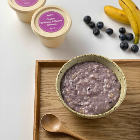 Organic Blueberry & Banana Oatmeal - Puree