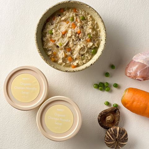 Organic Chicken Noodle Soup - Noodles