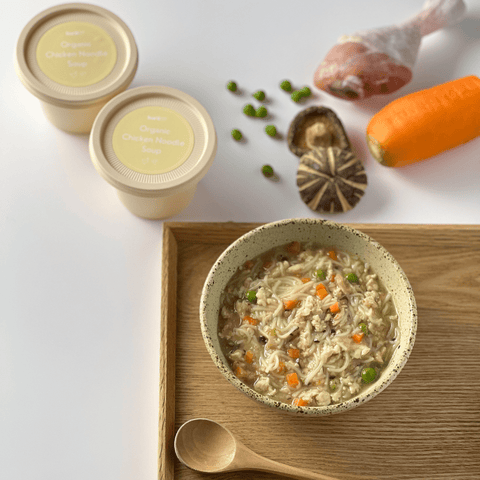 Organic Chicken Noodle Soup - Noodles