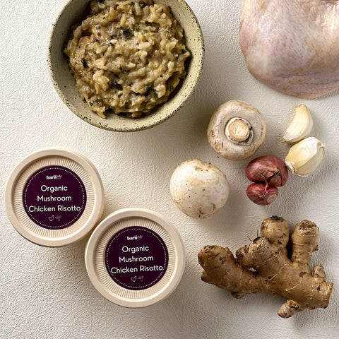 Organic Mushroom Chicken Risotto - Risotto