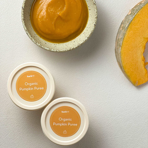 Organic Pumpkin Puree - Puree